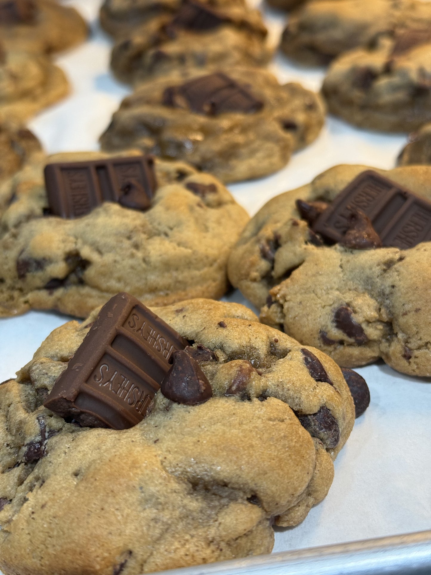 Chocolate Chip